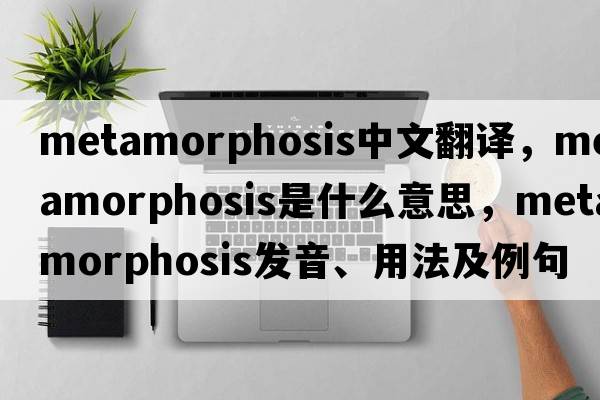 metamorphosis中文翻譯，metamorphosis是什么意思，metamorphosis發(fā)音、用法及例句