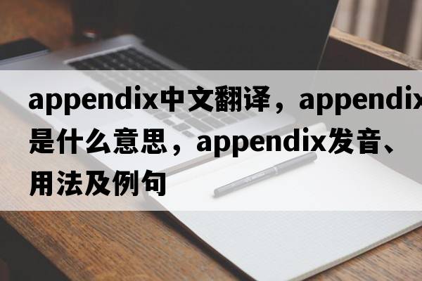 appendix中文翻譯，appendix是什么意思，appendix發(fā)音、用法及例句