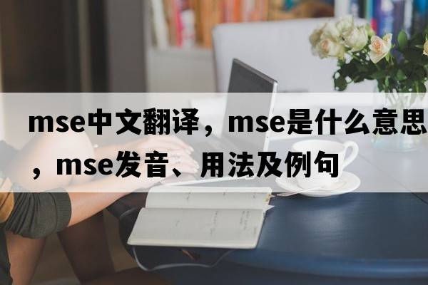 mse中文翻譯，mse是什么意思，mse發(fā)音、用法及例句
