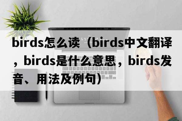 birds怎么讀（birds中文翻譯，birds是什么意思，birds發(fā)音、用法及例句）