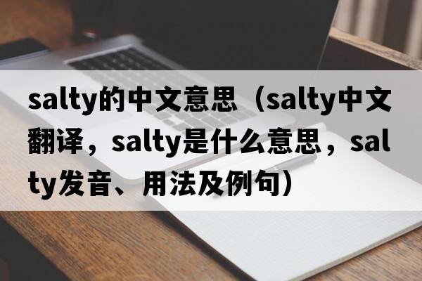 salty的中文意思（salty中文翻譯，salty是什么意思，salty發(fā)音、用法及例句）