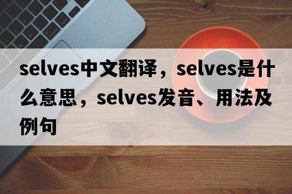 selves中文翻譯，selves是什么意思，selves發(fā)音、用法及例句