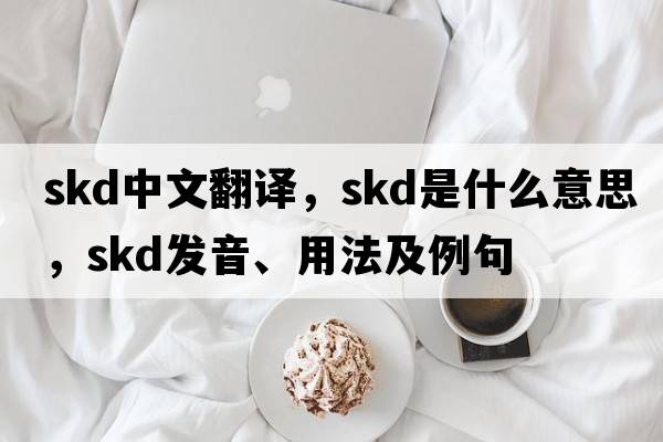 skd中文翻譯，skd是什么意思，skd發(fā)音、用法及例句