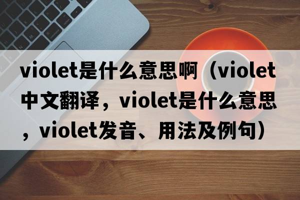 violet是什么意思啊（violet中文翻譯，violet是什么意思，violet發(fā)音、用法及例句）