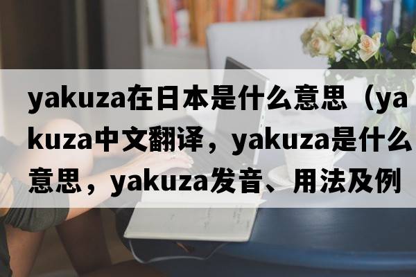 yakuza在日本是什么意思（Yakuza中文翻譯，Yakuza是什么意思，Yakuza發(fā)音、用法及例句）