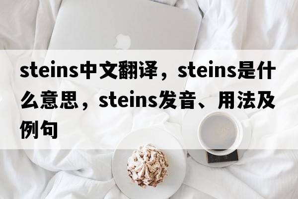 steins中文翻譯，steins是什么意思，steins發(fā)音、用法及例句