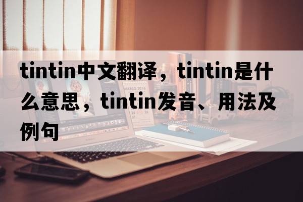 Tintin中文翻譯，Tintin是什么意思，Tintin發(fā)音、用法及例句