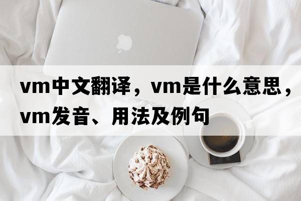 vm中文翻譯，vm是什么意思，vm發(fā)音、用法及例句