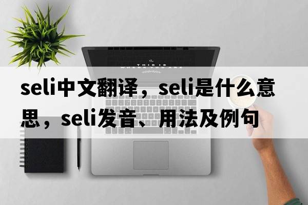 SELI中文翻譯，SELI是什么意思，SELI發(fā)音、用法及例句