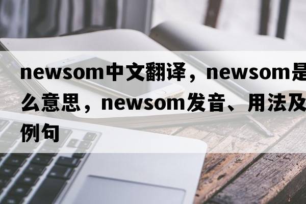 Newsom中文翻譯，Newsom是什么意思，Newsom發(fā)音、用法及例句