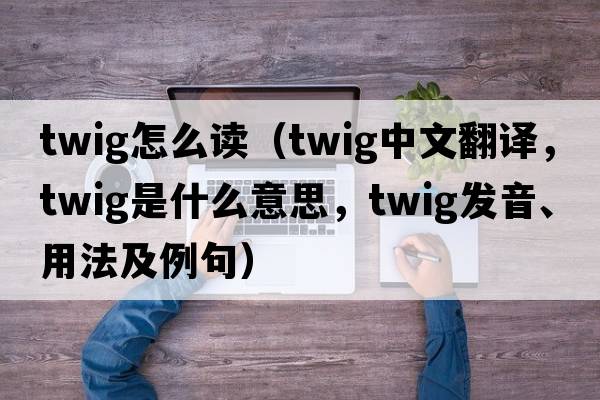 twig怎么讀（twig中文翻譯，twig是什么意思，twig發(fā)音、用法及例句）