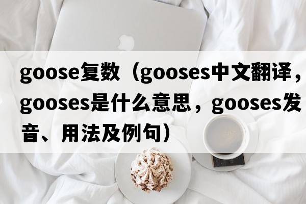 goose復數(shù)（gooses中文翻譯，gooses是什么意思，gooses發(fā)音、用法及例句）