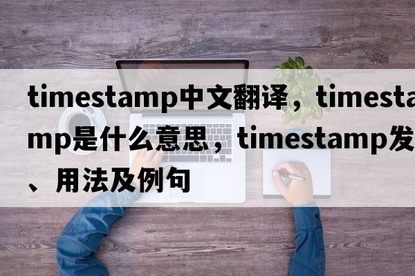 timestamp中文翻譯，timestamp是什么意思，timestamp發(fā)音、用法及例句