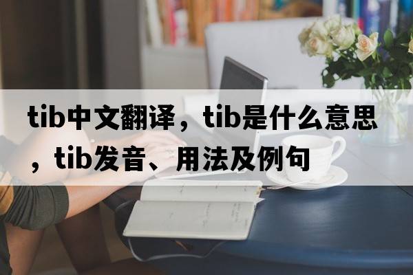 tib中文翻譯，tib是什么意思，tib發(fā)音、用法及例句