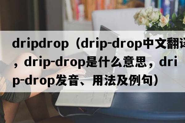 dripdrop（drip-drop中文翻譯，drip-drop是什么意思，drip-drop發(fā)音、用法及例句）