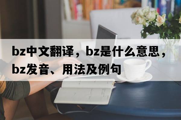bz中文翻譯，bz是什么意思，bz發(fā)音、用法及例句
