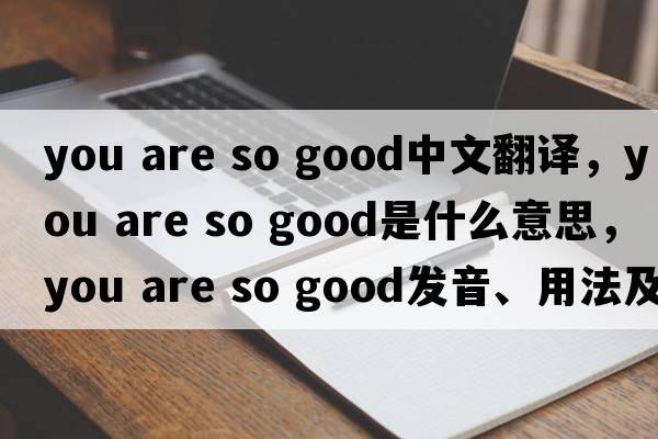 you are so good中文翻譯，you are so good是什么意思，you are so good發(fā)音、用法及例句