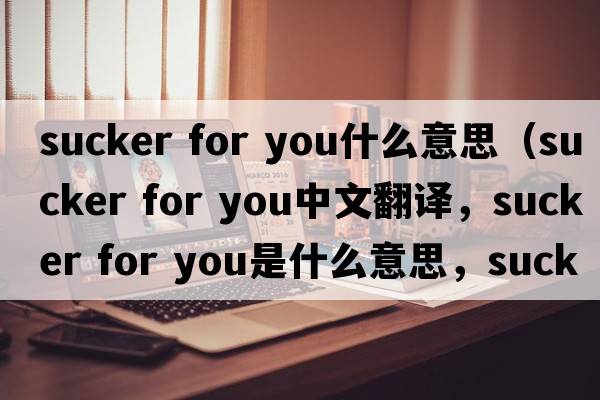 sucker for you什么意思（sucker for you中文翻譯，sucker for you是什么意思，sucker for you發(fā)音、用法及例句）