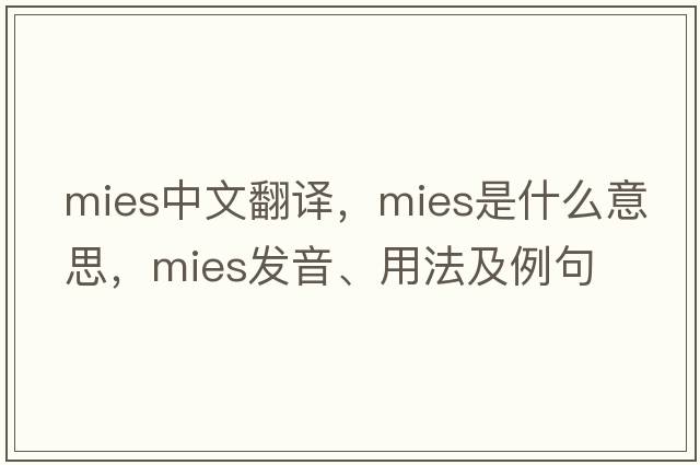 Mies中文翻譯，Mies是什么意思，Mies發(fā)音、用法及例句