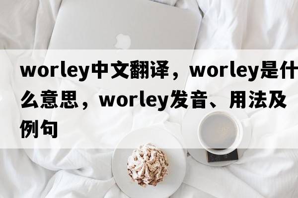 Worley中文翻譯，Worley是什么意思，Worley發(fā)音、用法及例句
