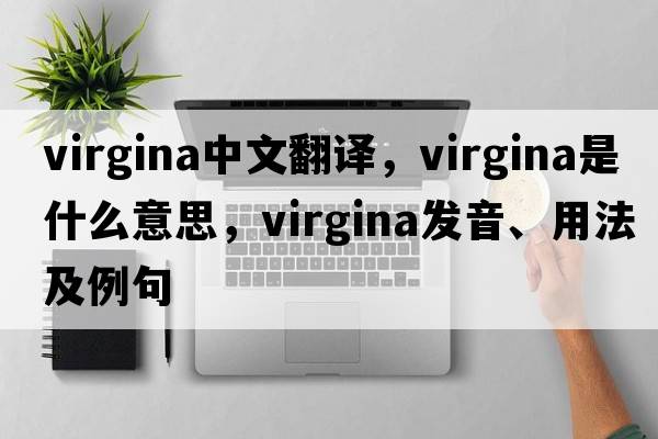 virgina中文翻譯，virgina是什么意思，virgina發(fā)音、用法及例句