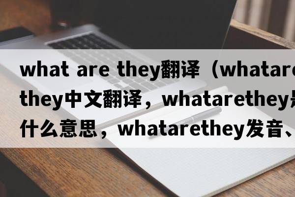 what are they翻譯（whatarethey中文翻譯，whatarethey是什么意思，whatarethey發(fā)音、用法及例句）
