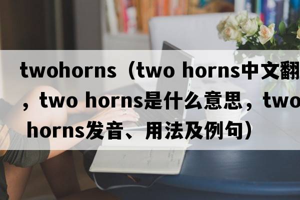 twohorns（two horns中文翻譯，two horns是什么意思，two horns發(fā)音、用法及例句）