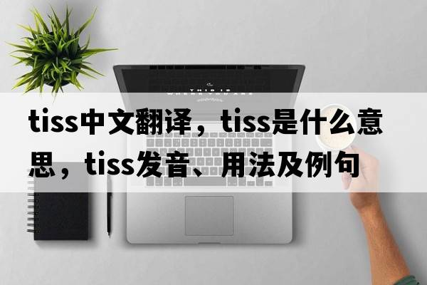 TISS中文翻譯，TISS是什么意思，TISS發(fā)音、用法及例句
