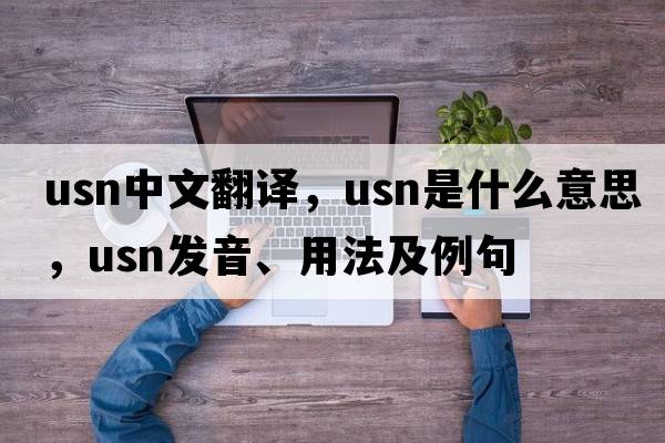 USN中文翻譯，USN是什么意思，USN發(fā)音、用法及例句