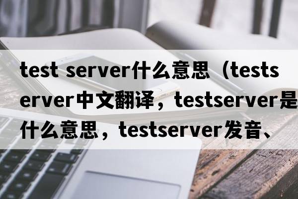 test server什么意思（testserver中文翻譯，testserver是什么意思，testserver發(fā)音、用法及例句）