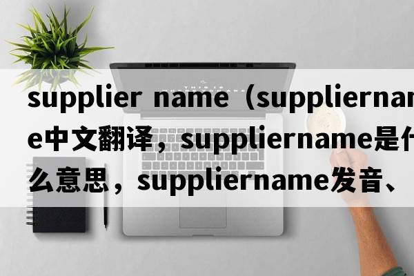 supplier name（suppliername中文翻譯，suppliername是什么意思，suppliername發(fā)音、用法及例句）