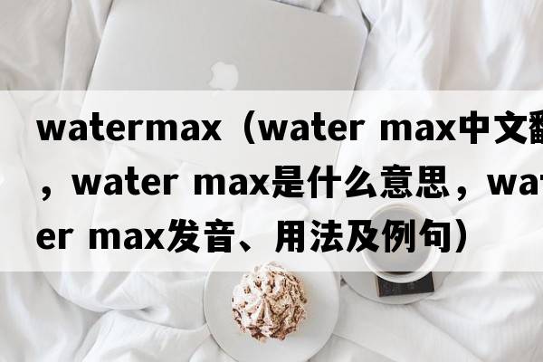 watermax（water max中文翻譯，water max是什么意思，water max發(fā)音、用法及例句）