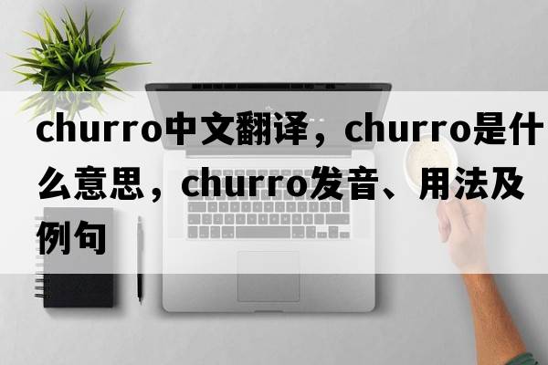 churro中文翻譯，churro是什么意思，churro發(fā)音、用法及例句
