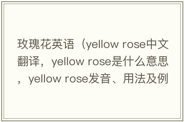 玫瑰花英語（yellow rose中文翻譯，yellow rose是什么意思，yellow rose發(fā)音、用法及例句）