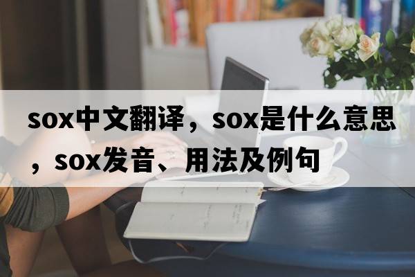 sox中文翻譯，sox是什么意思，sox發(fā)音、用法及例句