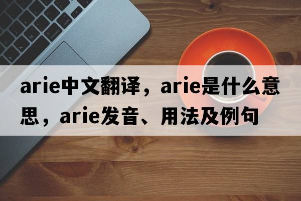 Arie中文翻譯，Arie是什么意思，Arie發(fā)音、用法及例句