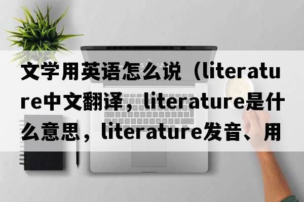 文學(xué)用英語(yǔ)怎么說(shuō)（literature中文翻譯，literature是什么意思，literature發(fā)音、用法及例句）