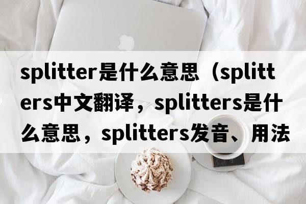 splitter是什么意思（splitters中文翻譯，splitters是什么意思，splitters發(fā)音、用法及例句）