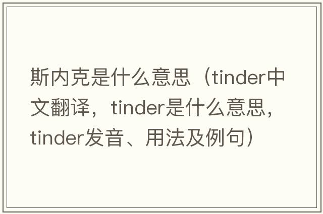 斯內(nèi)克是什么意思（tinder中文翻譯，tinder是什么意思，tinder發(fā)音、用法及例句）