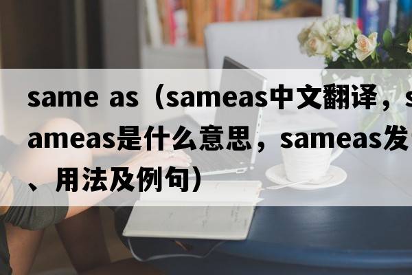 same as（sameas中文翻譯，sameas是什么意思，sameas發(fā)音、用法及例句）