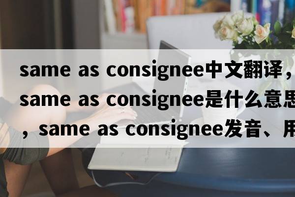 same as consignee中文翻譯，same as consignee是什么意思，same as consignee發(fā)音、用法及例句
