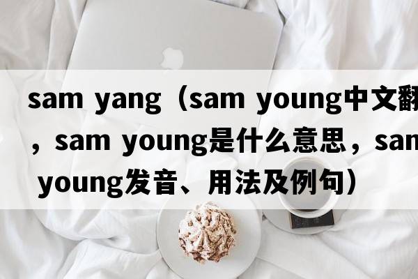 sam yang（sam young中文翻譯，sam young是什么意思，sam young發(fā)音、用法及例句）