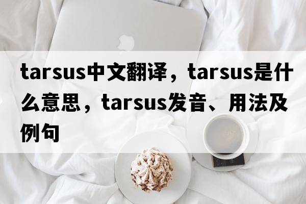 tarsus中文翻譯，tarsus是什么意思，tarsus發(fā)音、用法及例句