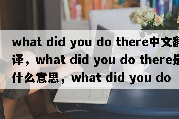 what did you do there中文翻譯，what did you do there是什么意思，what did you do there發(fā)音、用法及例句