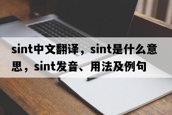 sint中文翻譯，sint是什么意思，sint發(fā)音、用法及例句