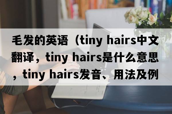 毛發(fā)的英語（tiny hairs中文翻譯，tiny hairs是什么意思，tiny hairs發(fā)音、用法及例句）
