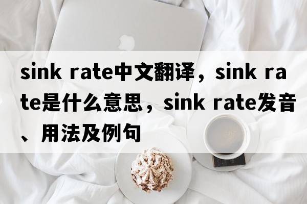 sink rate中文翻譯，sink rate是什么意思，sink rate發(fā)音、用法及例句