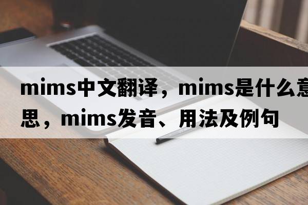 mims中文翻譯，mims是什么意思，mims發(fā)音、用法及例句