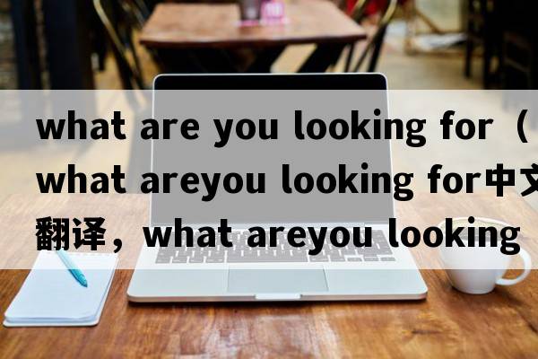 what are you looking for（what areyou looking for中文翻譯，what areyou looking for是什么意思，what areyou lookin