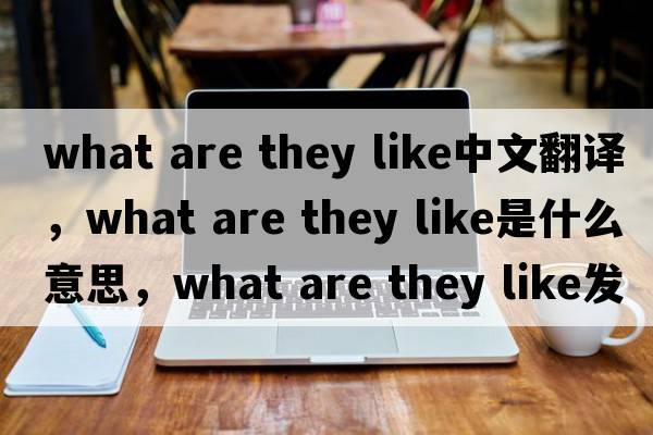 what are they like中文翻譯，what are they like是什么意思，what are they like發(fā)音、用法及例句